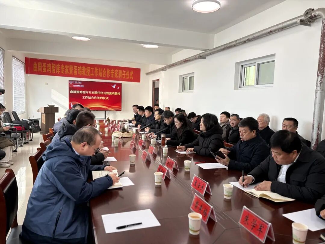 春潮涌动，助力乡村振兴